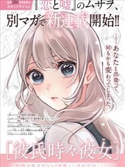 海街手帖剧集海报